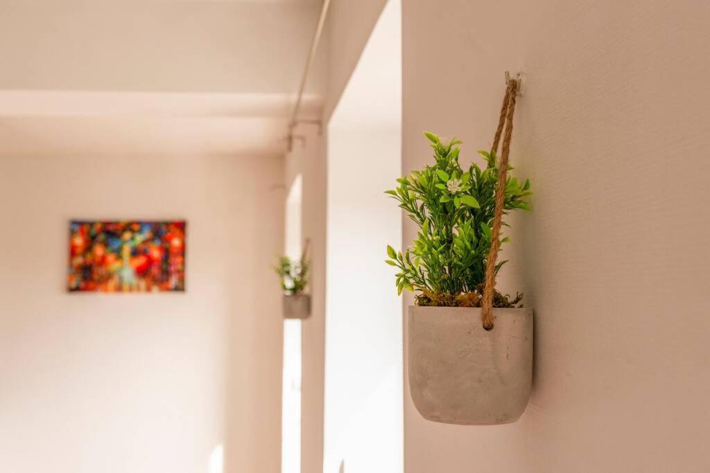 ❁La Pause Occitane❁ T3 Coeur De Ville Avec Parking Gaillac Exterior foto